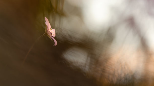 Image by andreas kretschmer