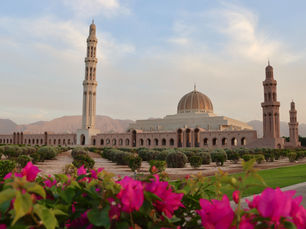 The exterior of the magnificent Sultan Qaboos Grand Mosque in Oman, constructed from sand-colored stone. In the foreground, there are lush green gardens with rows of bushes and bright pink bougainvillea flowers, with the rugged Hajar mountains visible in the background under a soft sky.