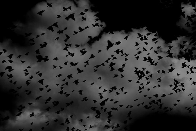 Image by Alessandro Benassi