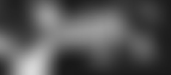 Então você quer ser músico?