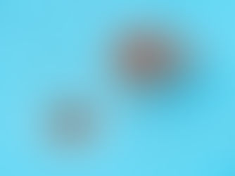 Leadership- How to Not Absorb Your Team’s Stress (Yes, It’s Possible) & Become Semi- Permeable