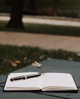 Image by Rachel Lynette French