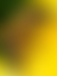 Killer Bees, Broken Plastic and Food Holidays