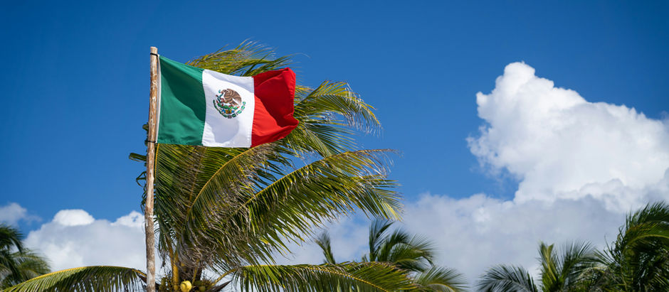 🚚 ¿En Quién Confían los Extranjeros para Mudanzas en México? Mira Esto