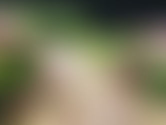 God is Familiar with Sorrow