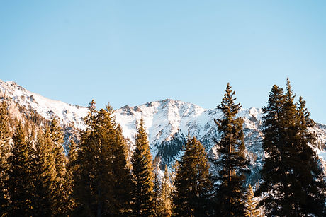 Image by Lucas Ludwig