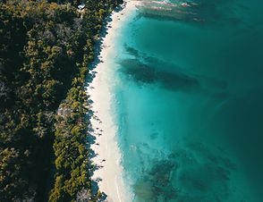 Image by Luis Diego Aguilar
