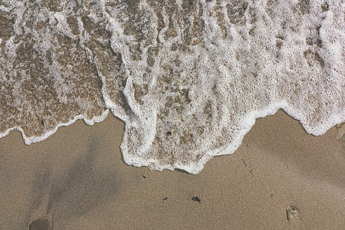 Image by Alexa Portoraro