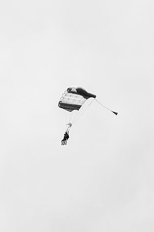 Image by Daniel Diesenreither