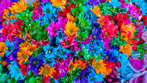 Nourishment for a New Start