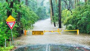 Flooded forest road with "Causeway" and "Road Closed by Flood" signs. Yellow barrier blocks path. Lush greenery in rainy scene.