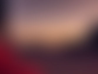 1月の予定 仕事ゼロ