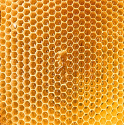 Honey Extraction
