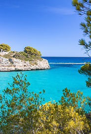 Image by Armando Valenzuela