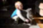 Como um gato poderia acidentalmente ferir um recém-nascido?