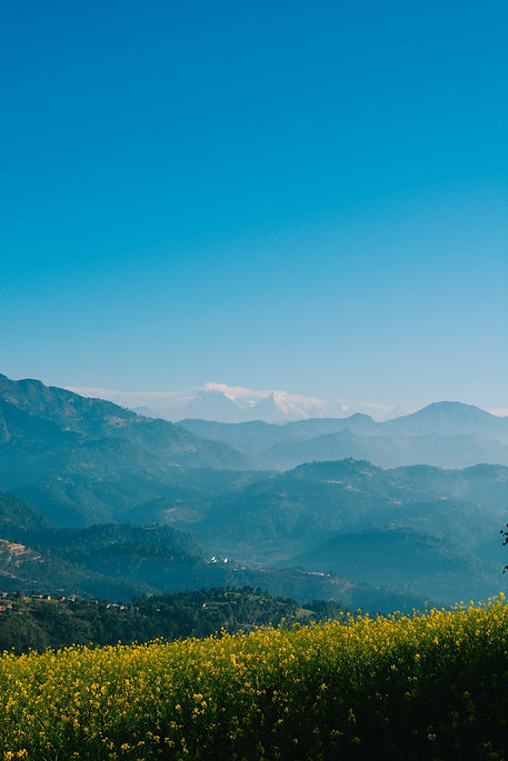 Image by Ravi Sharma