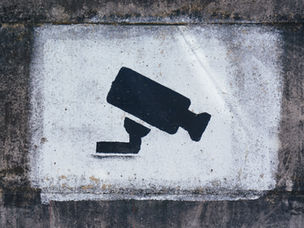 Navigating the AI Landscape: Big Brother or Trusted Assistant?
