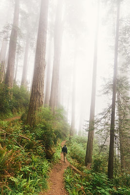 Image by Connor McSheffrey
