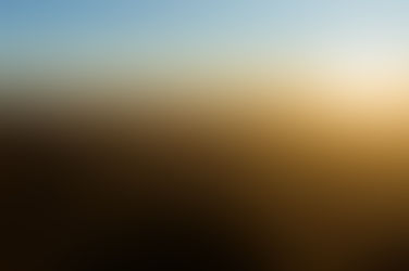 謹んで新年のお慶びを申し上げます。