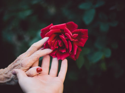 letting go of "stuff" after grief and loss