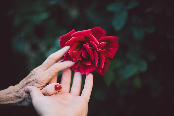 Image by Jake Thacker