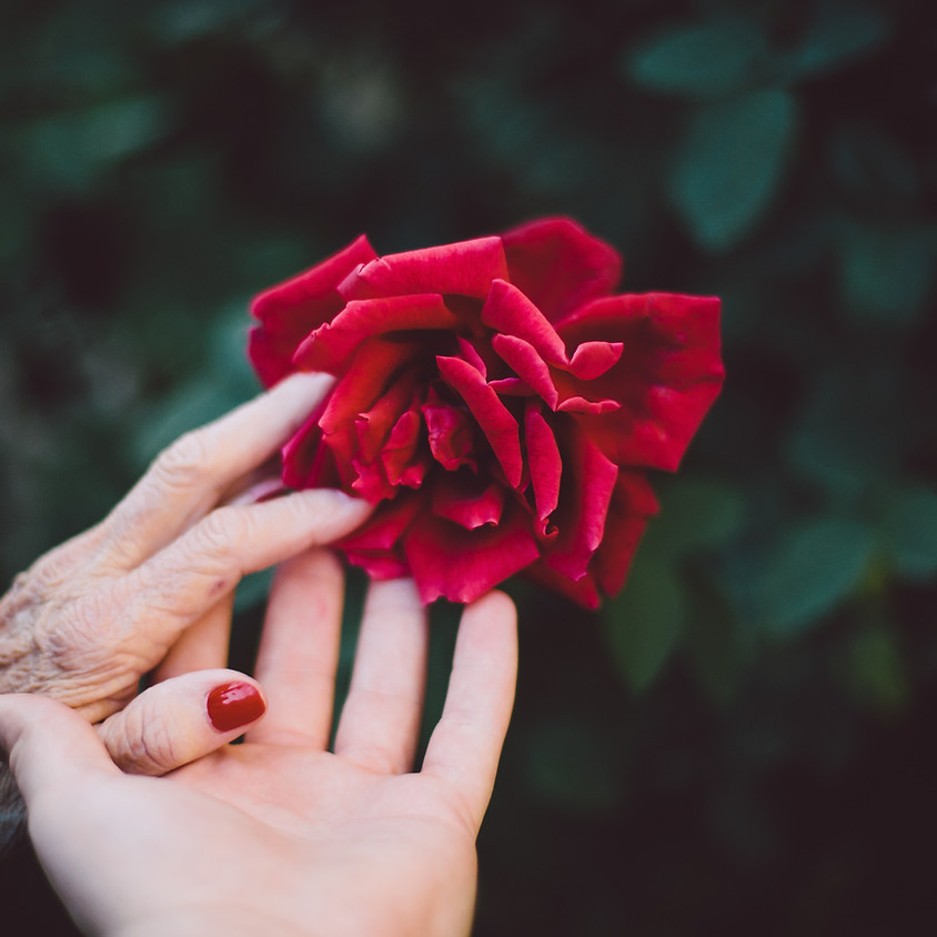 Forte come la morte è l'amore. Tremila anni di poesia d'amore ebraica STREAMING GRATUITO (1)