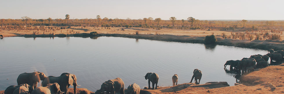 Zimbabwe