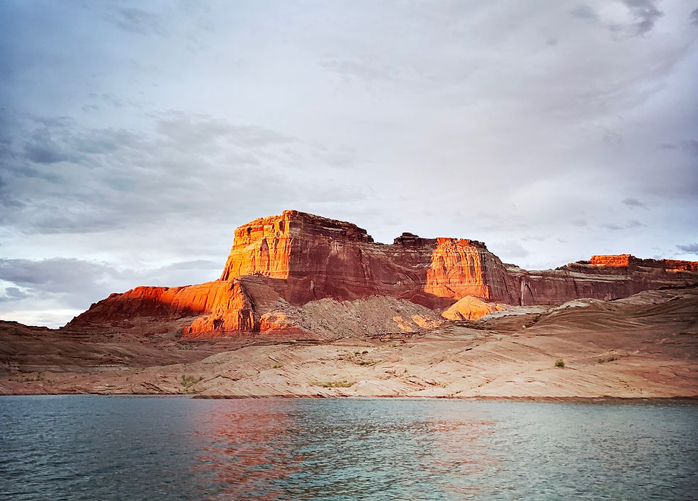 Image by Gavin Van Wagoner