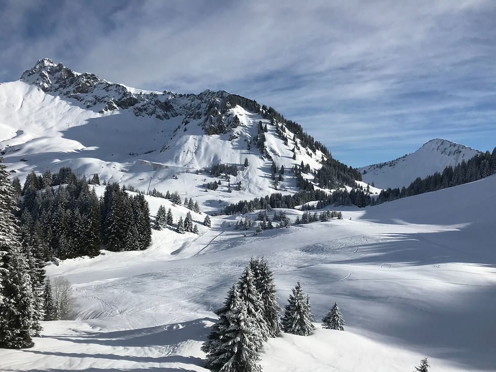 Meilleurs transports pour explorer les villages des Alpes