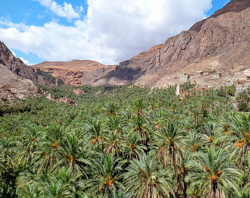 Morocco Tours