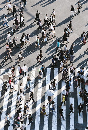 Image by Ryoji Iwata