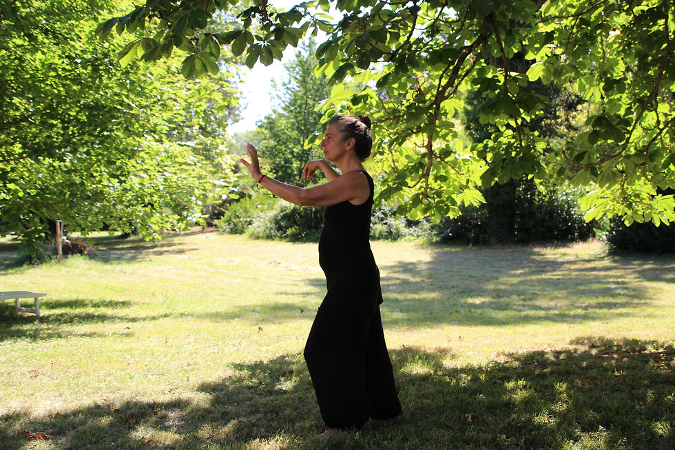 Tai Chi