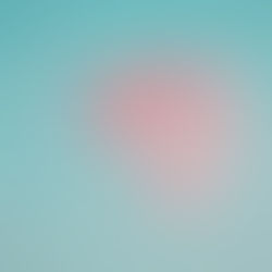REVELARE VELUM #4