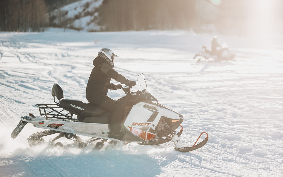 Snowmobile Adventure