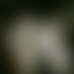 Ghost Busters: Summoning Closure & The Quiet Violence of Disappearance and Ghosting