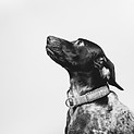 Image by Fabian Gieske