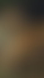 Chinese New Year - Tiger 2022