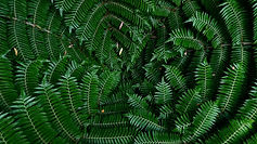 Image by Bryn Parish