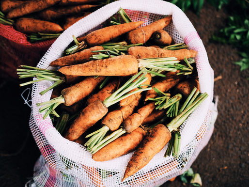 Free online workshop on farming planned