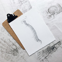 Image by Joyce McCown