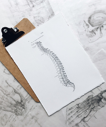 Image by Joyce McCown