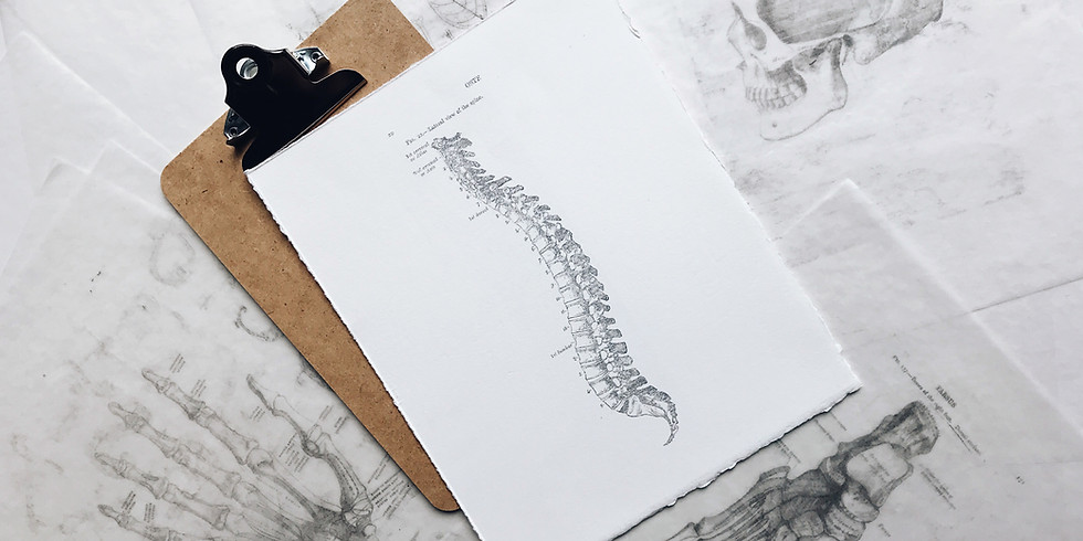 Movements of the Spine with Jami Marsoun