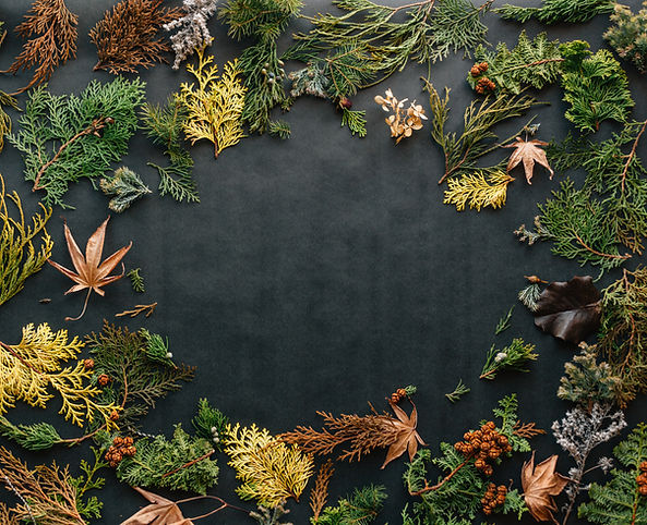 Sustainability Copywriter Header