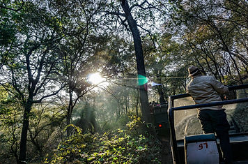 Image by Madhushree Narayan
