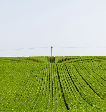 Engineers who understand commercial farming conditions