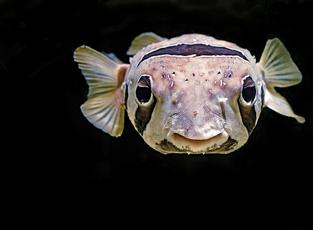 Image by David Clode