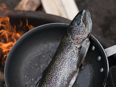 #59 - Why the FIRE Movement Should Be Called FISH: Financial Independence Side Hustle