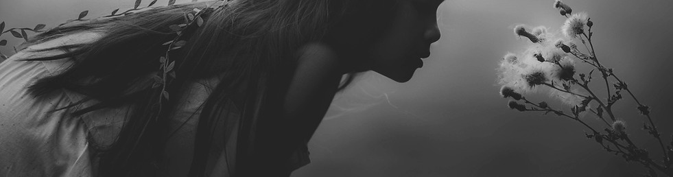 Image by Sarah Mak