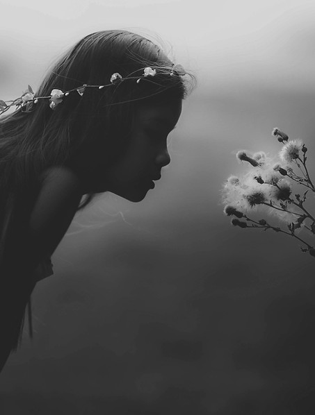 Image by Sarah Mak
