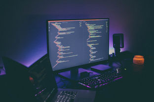 Who can provide highly professional programming assignment help service